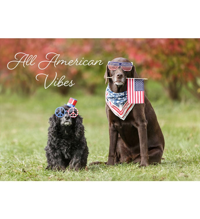 Tins With Pop® All American Vibes With Dogs