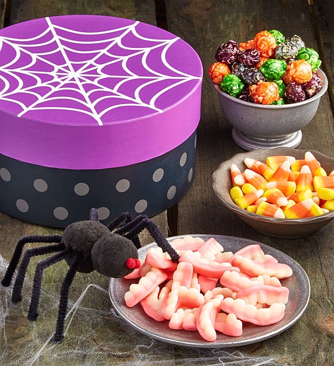 Spooky Spider Box with Plush