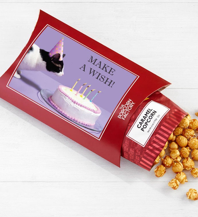 Cards With Pop® Birthday Cat Cake