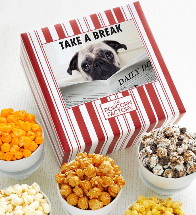dogs and popcorn