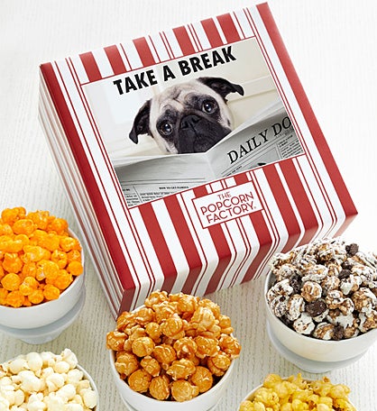Packed With Pop® Take A Break Dog