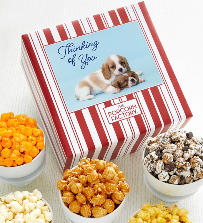 Packed With Pop® Thinking Of You Dog