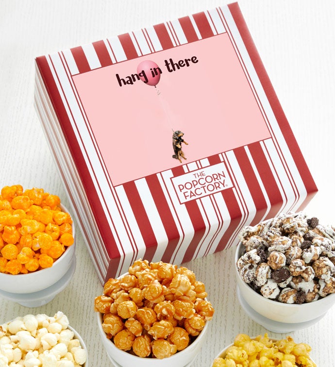 Packed With Pop® Hang In There Dog