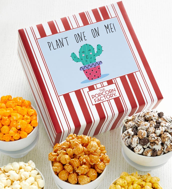 Packed With Pop® Plant One On Me