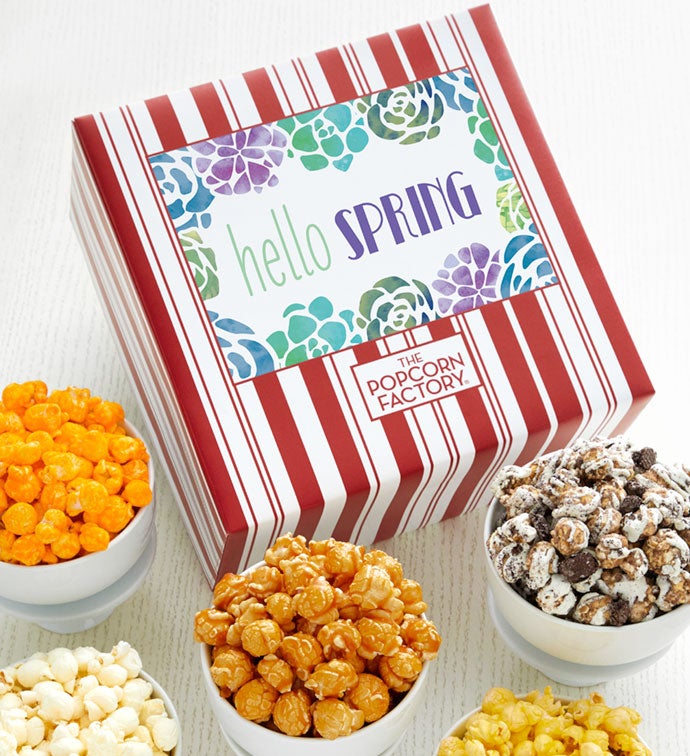 Packed With Pop® Spring Succulents