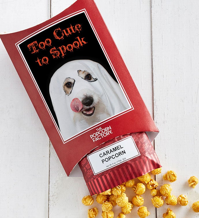 Cards With Pop® Too Cute To Spook   Dog Ghost