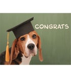 Cards With Pop&reg; Congrats Dog