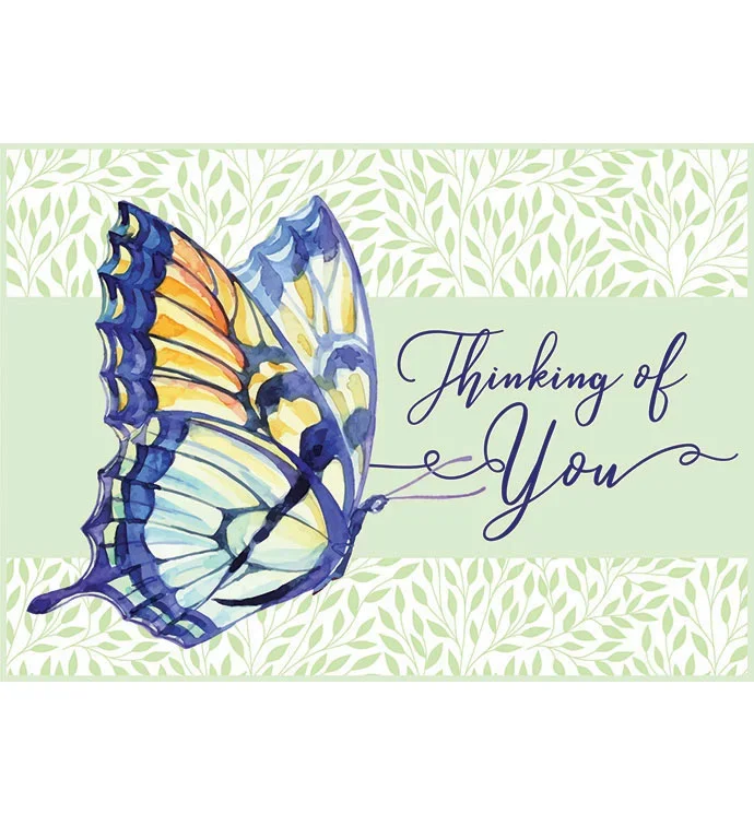 Tins With Pop® 3.5 Gallon Thinking of You Butterfly 3 Flavor