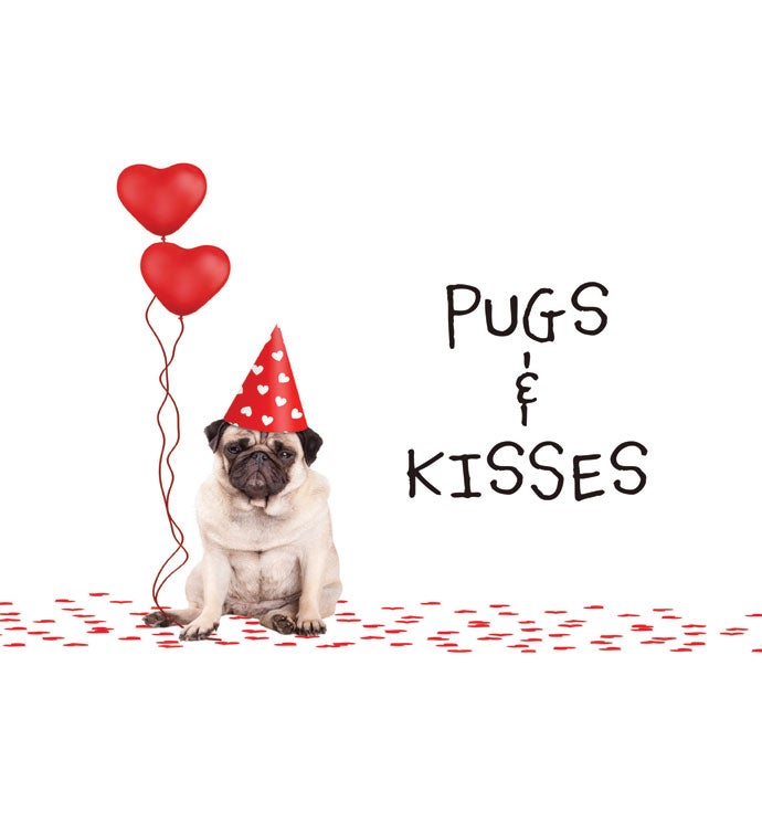 Tins With Pop® 4 Gallon Pugs and Kisses