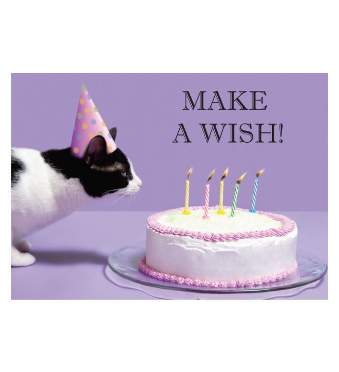 Tins With Pop&reg; Birthday Cat Cake