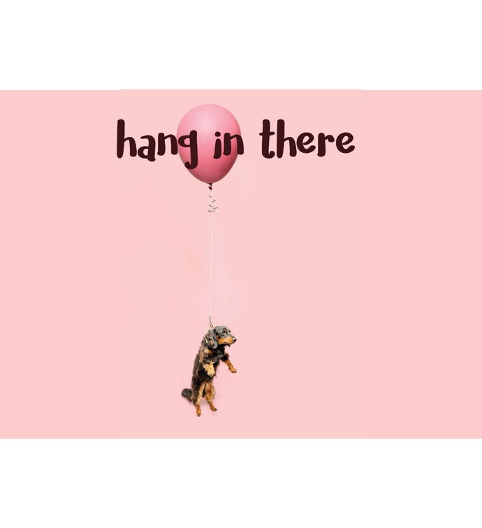 Packed With Pop® Hang In There Dog