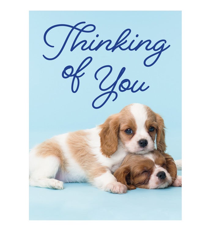 Cards With Pop® Thinking of You